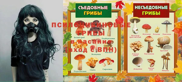 стафф Армянск