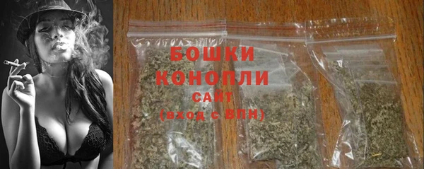 прущий лед Арсеньев