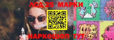индика Можайск