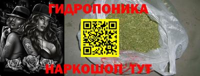 гидра Можга
