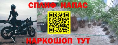 молекула духа Нальчик