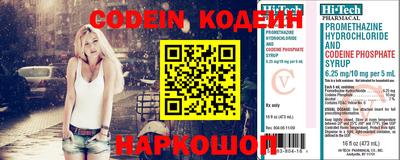 индика Можайск