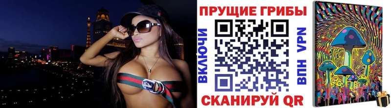 купить  цена  Чернушка  Псилоцибиновые грибы ЛСД 