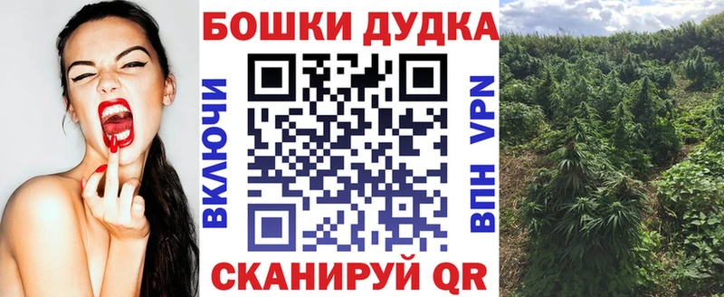 Шишки марихуана SATIVA & INDICA  даркнет сайт  Чернушка 