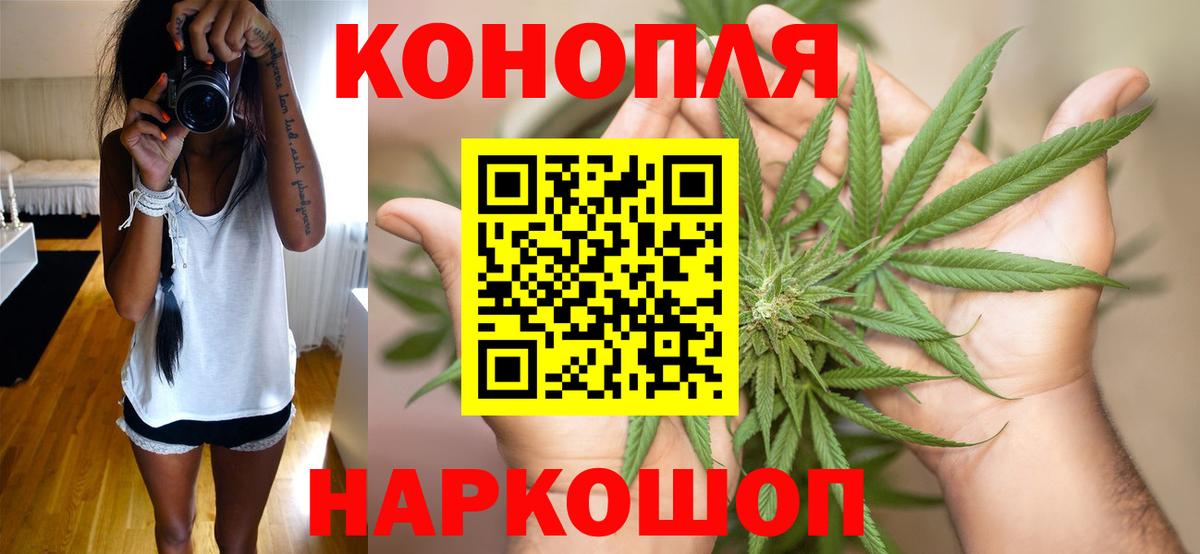 Бошки марихуана гибрид Чернушка
